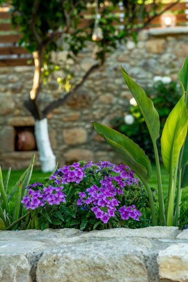 Trouli Rokka House Kissamos